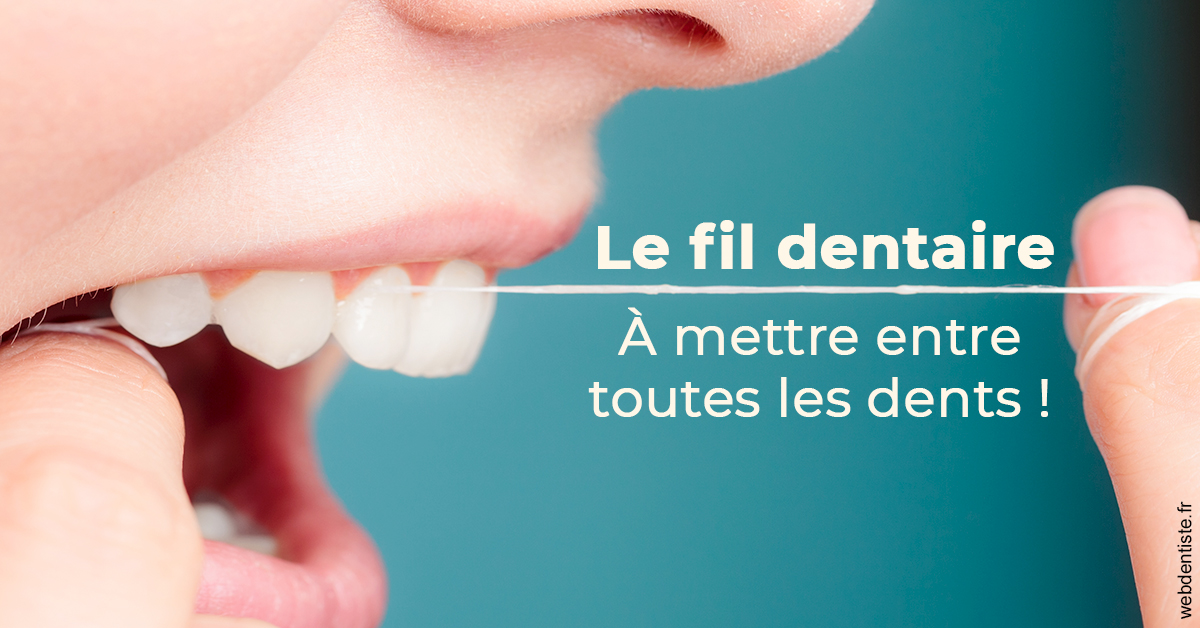 https://dr-hayat-carine.chirurgiens-dentistes.fr/Le fil dentaire 2