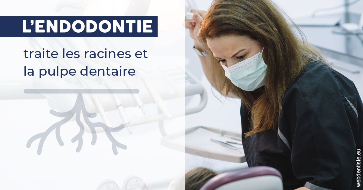 https://dr-hayat-carine.chirurgiens-dentistes.fr/L'endodontie 1