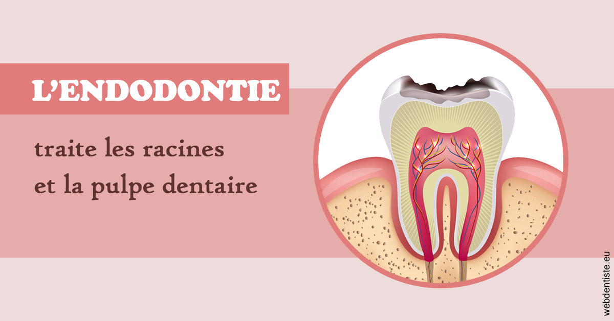 https://dr-hayat-carine.chirurgiens-dentistes.fr/L'endodontie 2