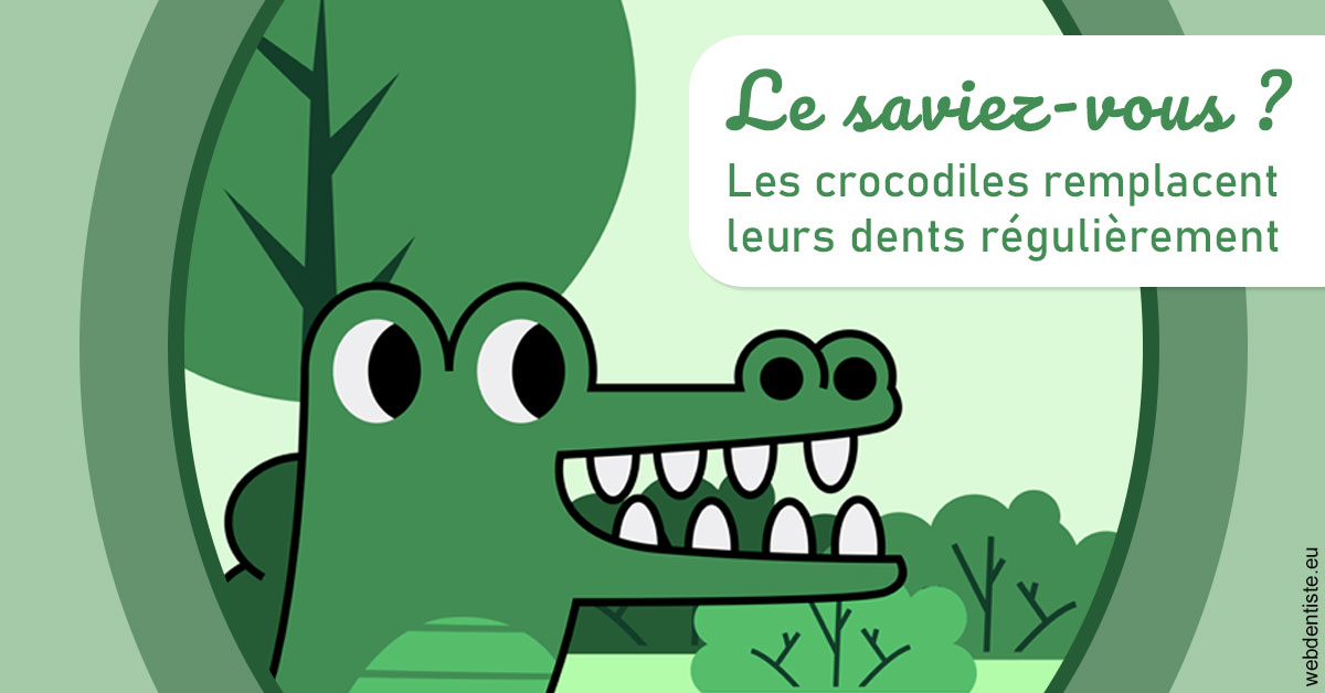 https://dr-hayat-carine.chirurgiens-dentistes.fr/Crocodiles 2