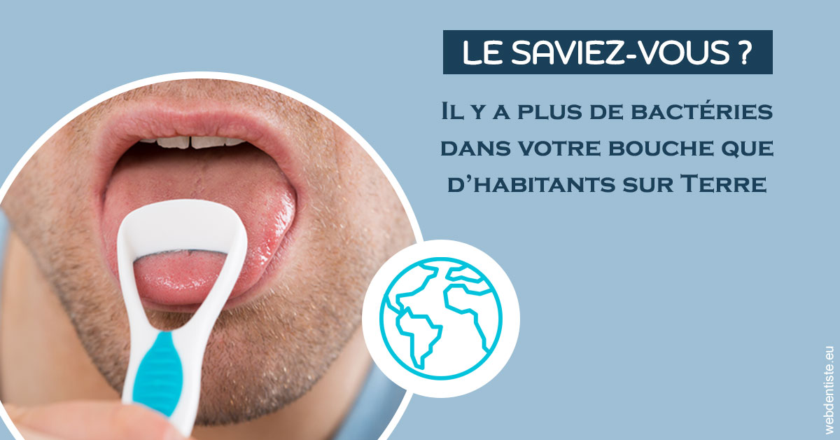https://dr-hayat-carine.chirurgiens-dentistes.fr/Bactéries dans votre bouche 2